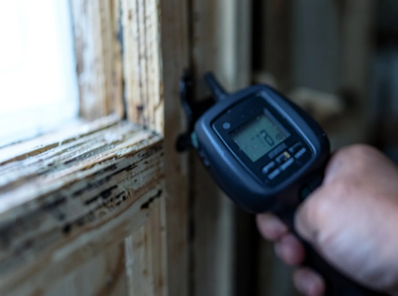 Moisture Inspection And Documentation in Mansfield, GA